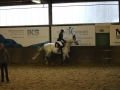 Stallturnier 2015 252