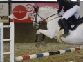 Stallturnier 2015 265