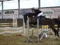 Stallturnier 2015 268