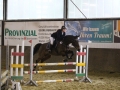 Stallturnier 2015 270
