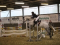 Stallturnier 2015 280