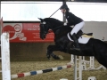 Stallturnier 2015 297
