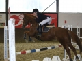 Stallturnier 2015 307