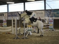 Stallturnier 2015 310