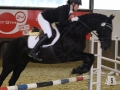 Stallturnier 2015 332