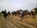 pict0100