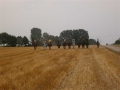 pict0114
