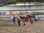 Bodenarbeit 07 2021