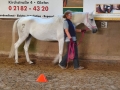 Bodenarbeit-07-2021-001