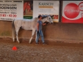 Bodenarbeit-07-2021-012