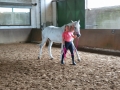 Bodenarbeit-07-2021-016