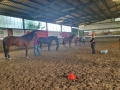 Bodenarbeit-07-2021-021