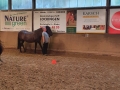 Bodenarbeit-07-2021-024