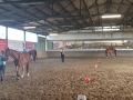 Bodenarbeit-07-2021-027