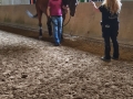 Bodenarbeit-07-2021-040
