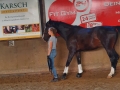 Bodenarbeit-07-2021-043
