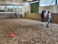 Bodenarbeit-07-2021-044