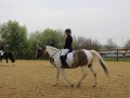 Waat HD 2015 001