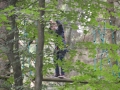 Klettergarten 2015 038