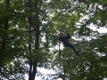 Klettergarten 2015 043